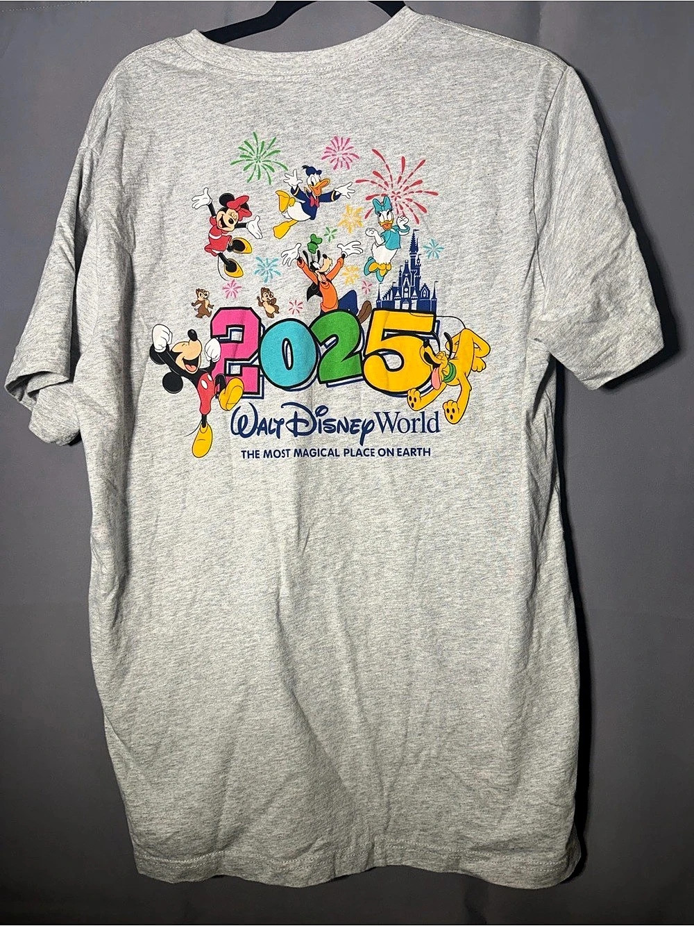 Disney Walt Disney World 2025 Mickey and Friends Characters T-Shirt Walt World